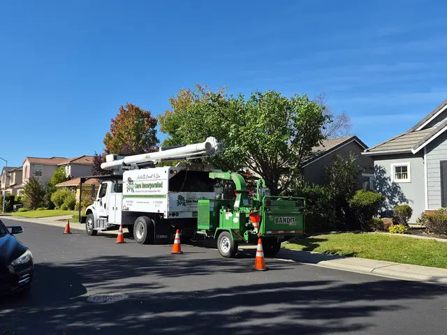 Tree Care Incorporated — customer photo 2