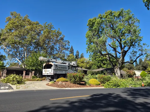 Tree Care Incorporated — customer photo 5