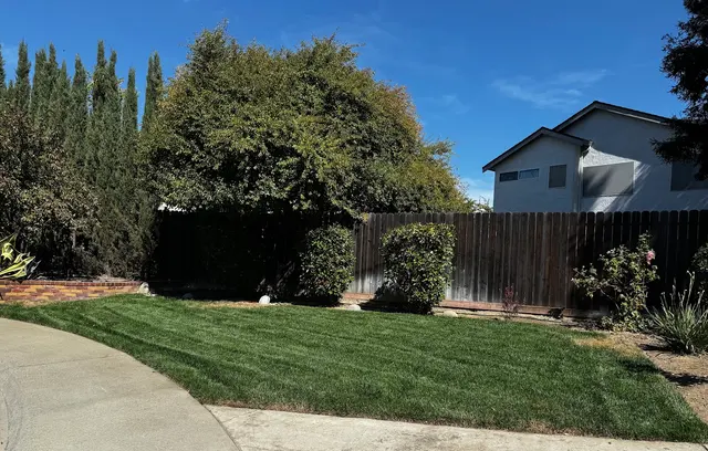 Cruz Landscaping Services Inc — customer photo 3
