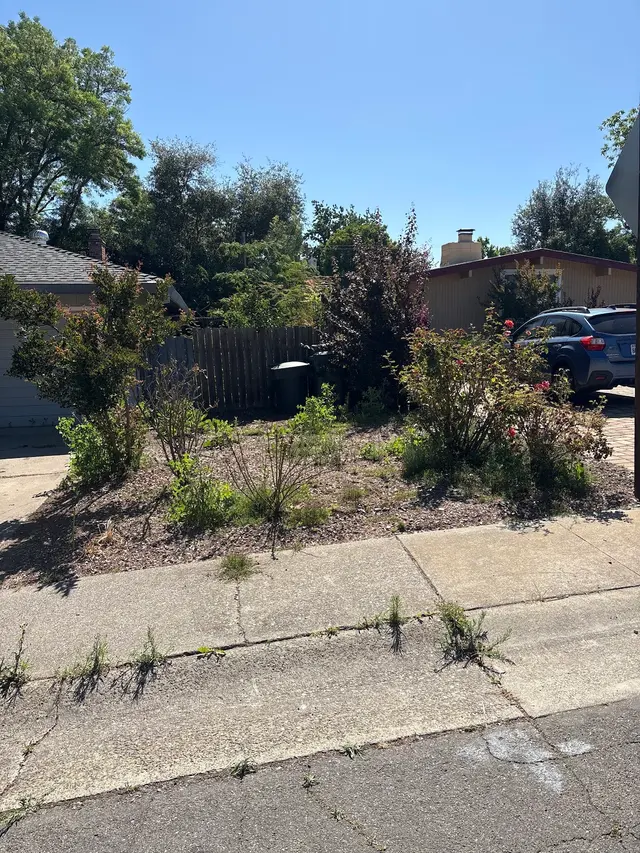 Customer photo of work by MEDFORD & DAUGHTERZ EXTREME LANDSCAPING, from Laura Navarro's review