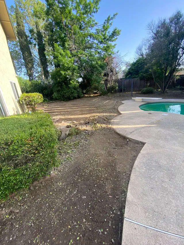 MEDFORD & DAUGHTERZ EXTREME LANDSCAPING — photo from the business 10