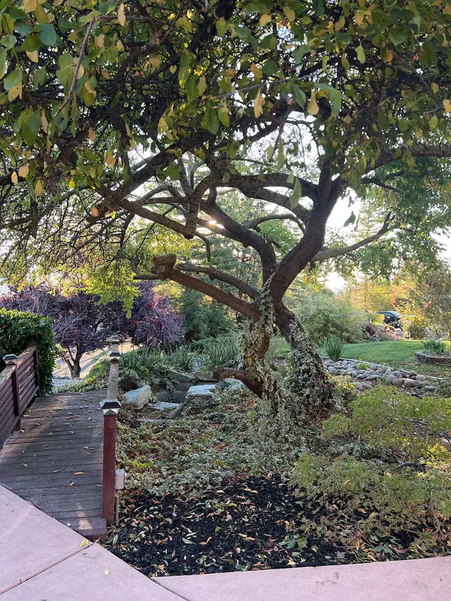 Customer photo of work by MEDFORD & DAUGHTERZ EXTREME LANDSCAPING, from Krisgeo 16's review