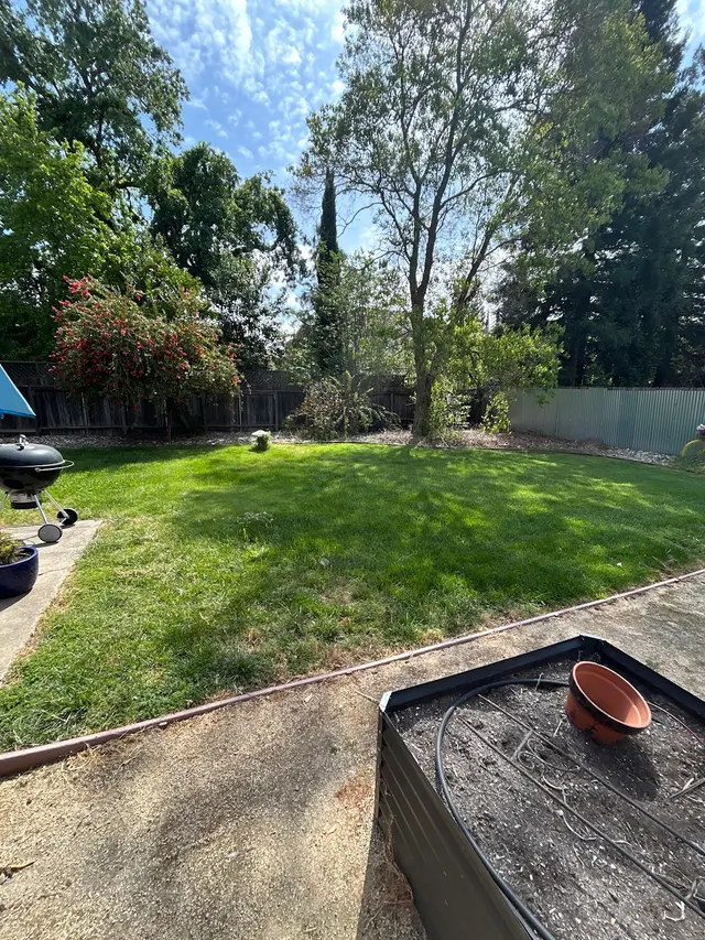 MEDFORD & DAUGHTERZ EXTREME LANDSCAPING — photo from the business 12