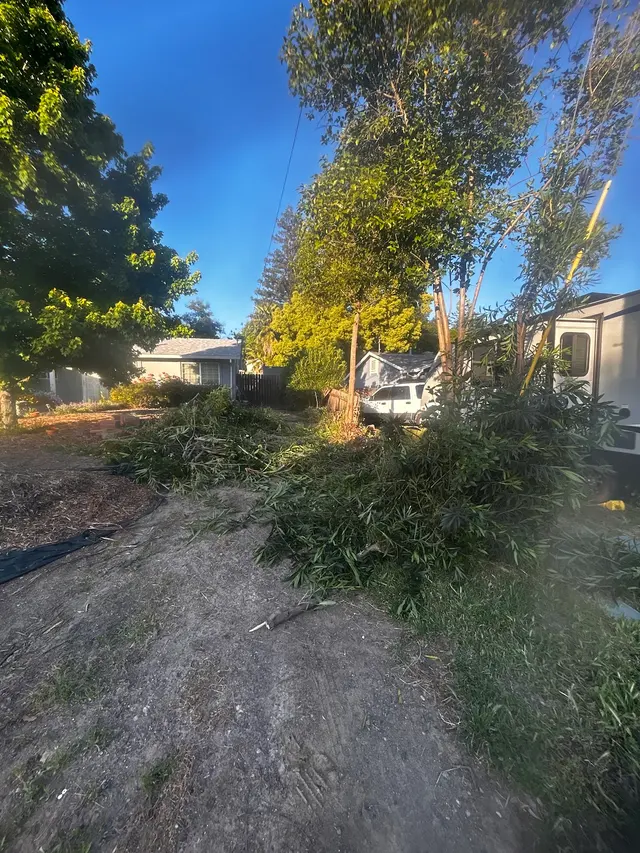 MEDFORD & DAUGHTERZ EXTREME LANDSCAPING — photo from the business 3