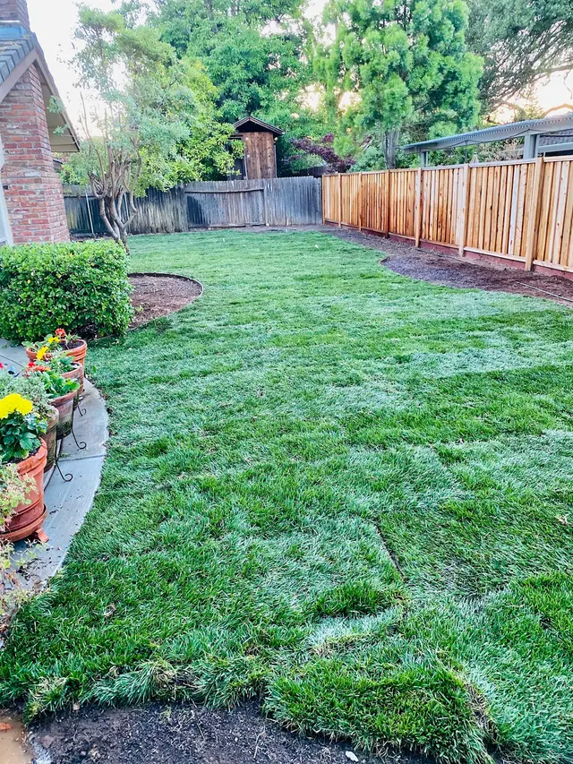 MEDFORD & DAUGHTERZ EXTREME LANDSCAPING — photo from the business 2