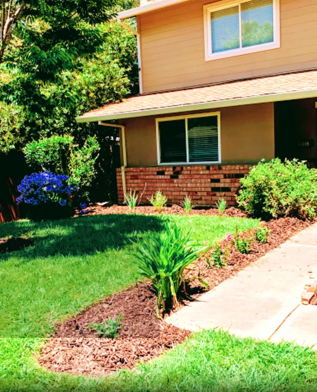 MEDFORD & DAUGHTERZ EXTREME LANDSCAPING — photo from the business 11