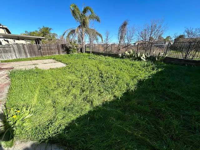 Precision Lawn Care — photo from the business 5