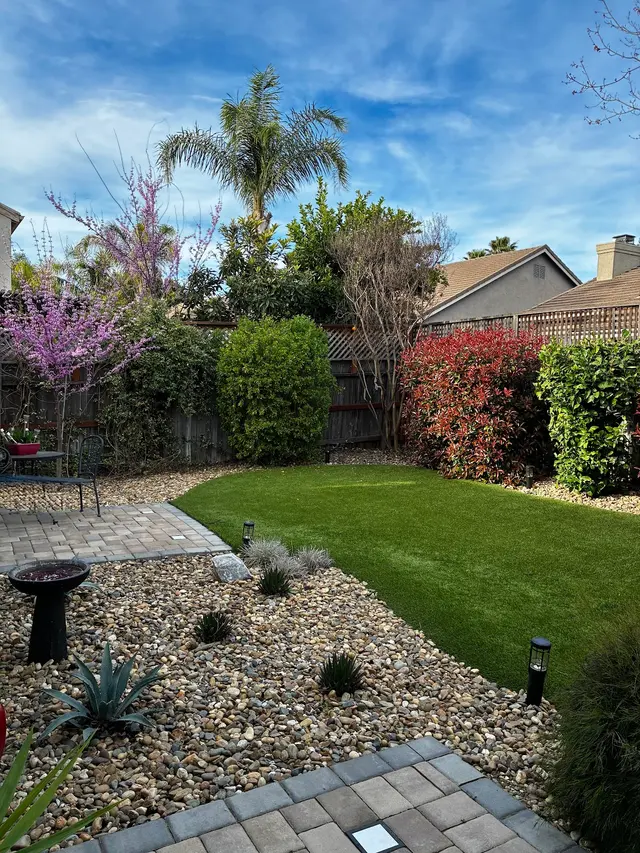 Precision Lawn Care — customer photo 4