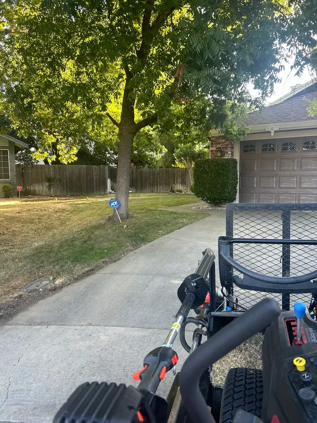 Precision Lawn Care — photo from the business 8