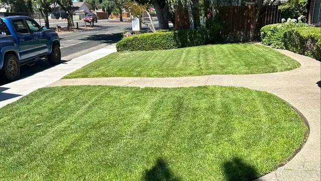 Precision Lawn Care — photo from the business 1