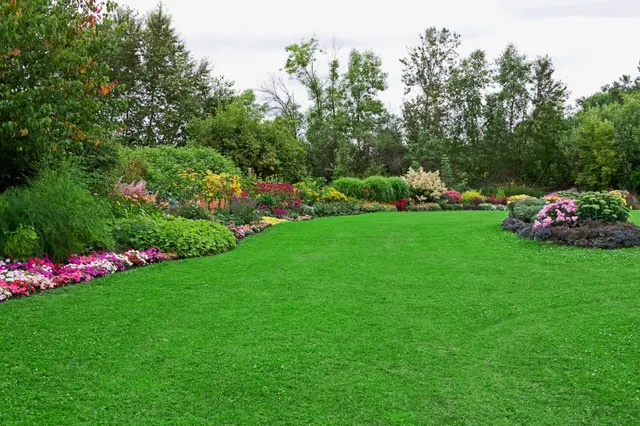 Precision Lawn Care — customer photo 2
