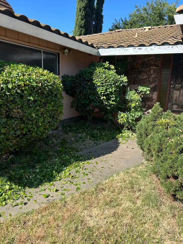 Precision Lawn Care — photo from the business 7