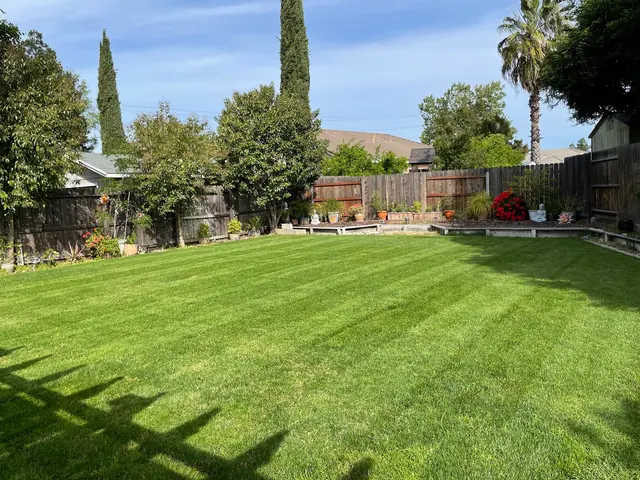 Precision Lawn Care — photo from the business 11