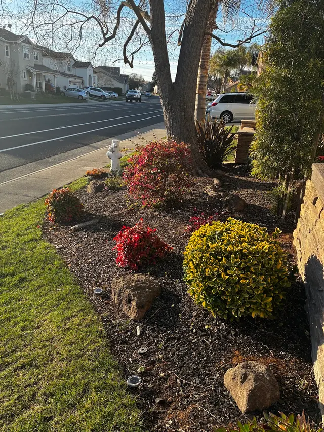 Precision Lawn Care — customer photo 12
