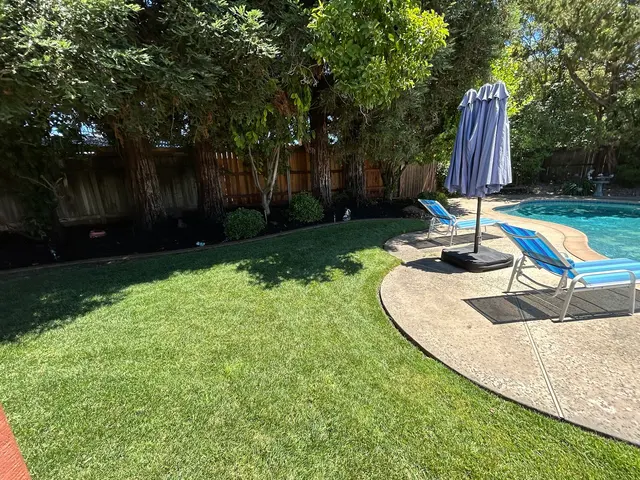 Precision Lawn Care — photo from the business 9