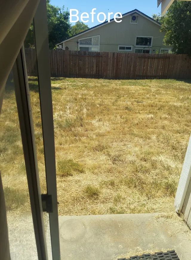 Customer photo of work by The McDonald's Tree & Landscaping LLC, from Tatiana Gill's review