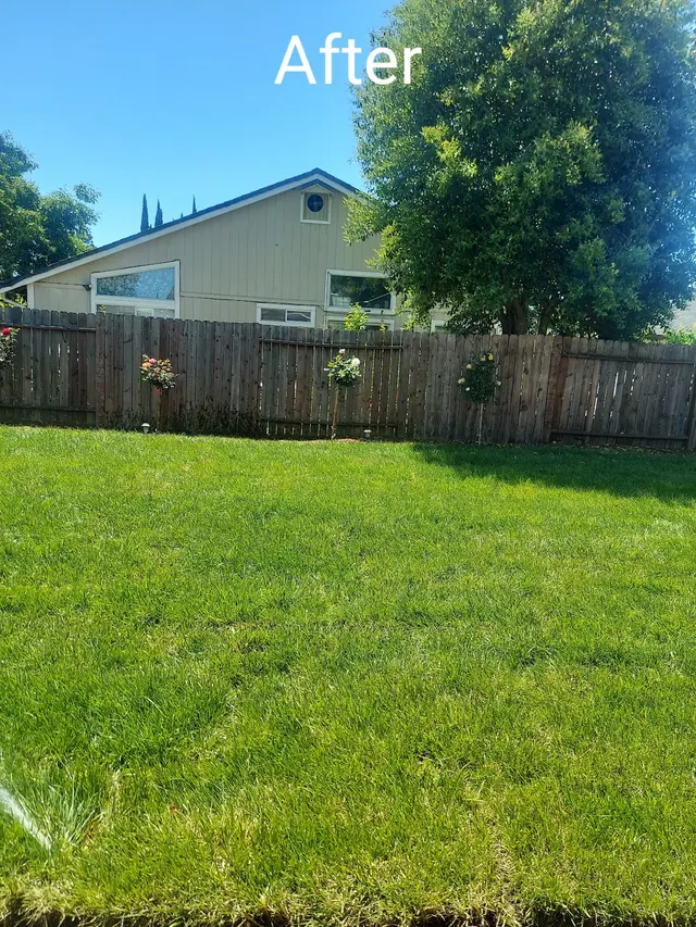 Customer photo of work by The McDonald's Tree & Landscaping LLC, from Tatiana Gill's review