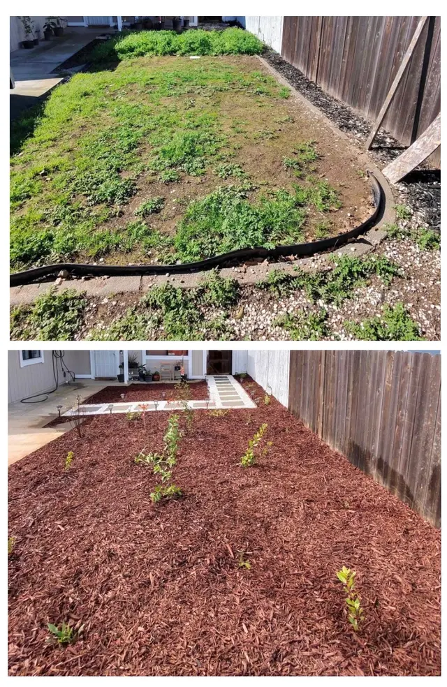 Customer photo of work by The McDonald's Tree & Landscaping LLC, from Cristina A's review