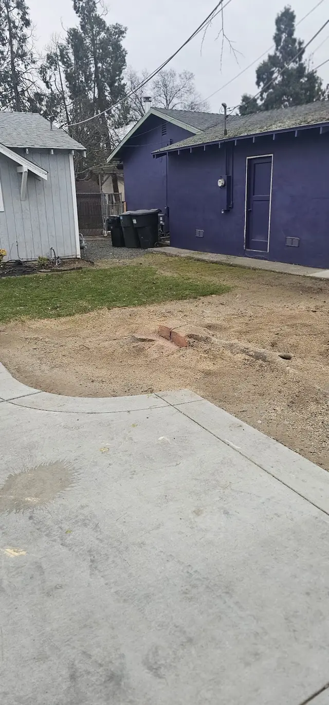 Customer photo of work by The McDonald's Tree & Landscaping LLC, from Ivan Ramirez's review