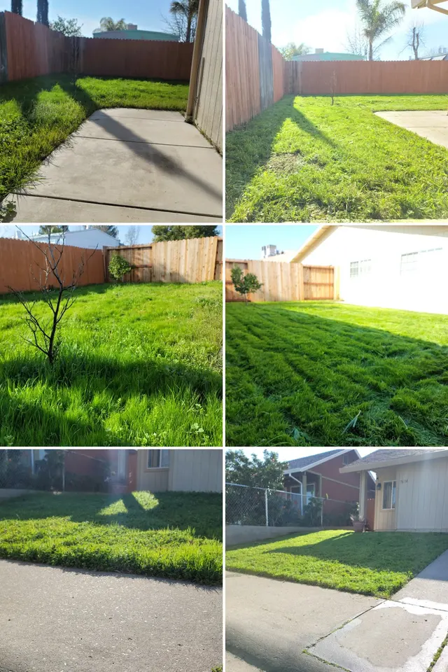 The McDonald's Tree & Landscaping LLC — photo from the business 3