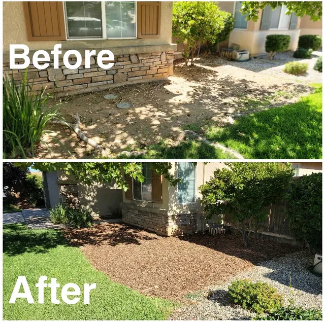 The McDonald's Tree & Landscaping LLC — photo from the business 1