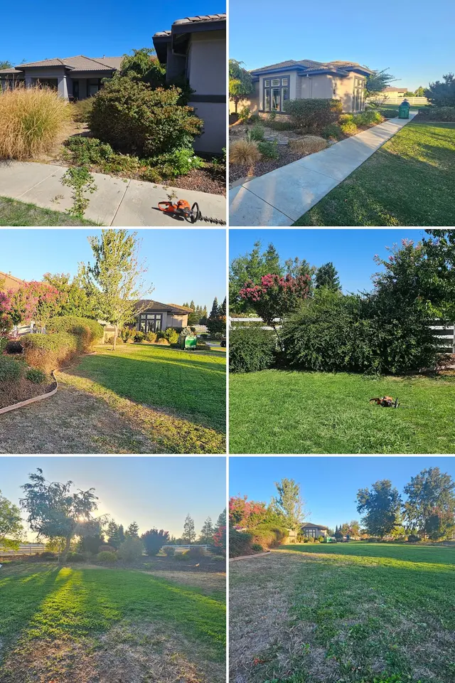 The McDonald's Tree & Landscaping LLC — photo from the business 11