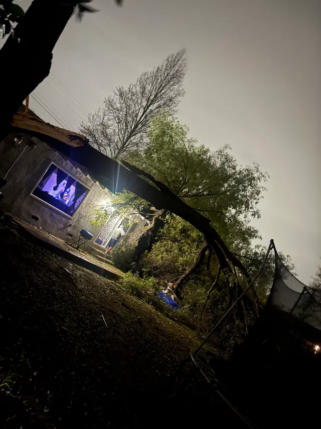 The McDonald's Tree & Landscaping LLC — customer photo 8