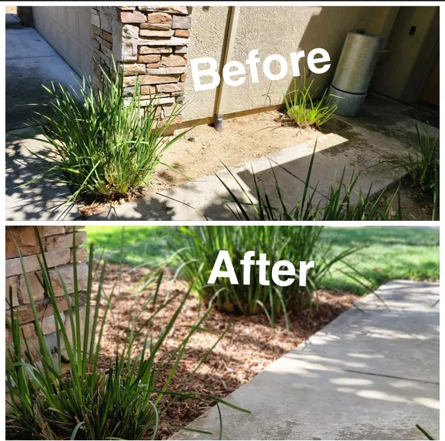 The McDonald's Tree & Landscaping LLC — photo from the business 10