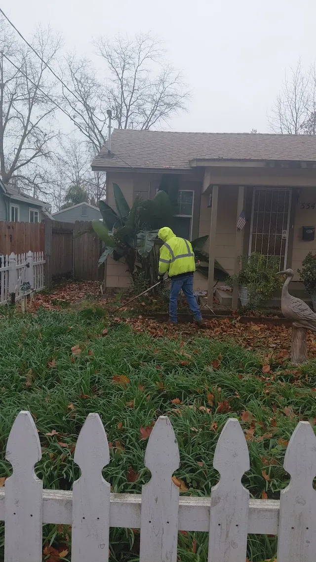 Maupidio's Lawn Care — photo from the business 8