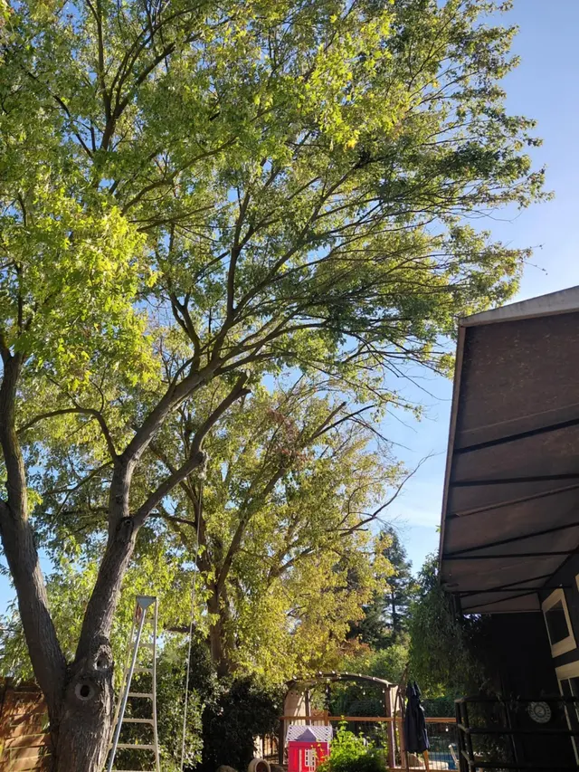 Maupidio's Lawn Care — photo from the business 9
