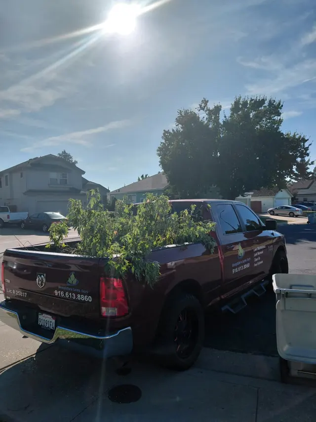 Maupidio's Lawn Care — photo from the business 10