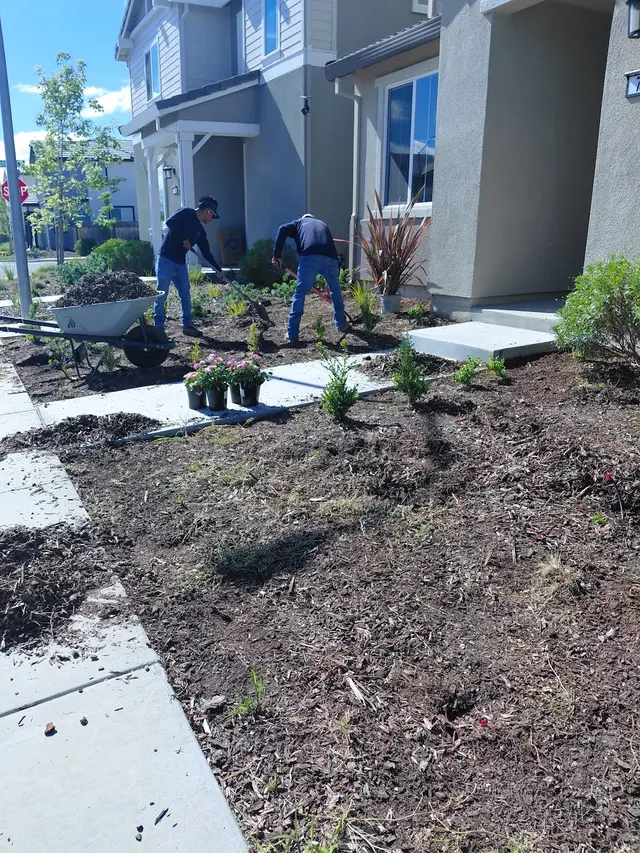 Maupidio's Lawn Care — photo from the business 4