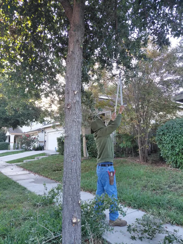 Maupidio's Lawn Care — photo from the business 5