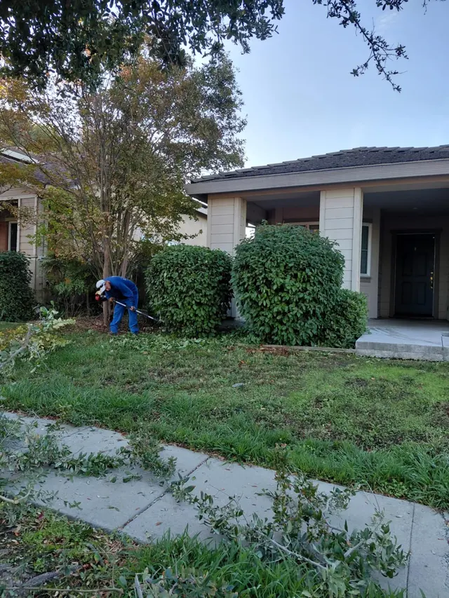 Maupidio's Lawn Care — photo from the business 2