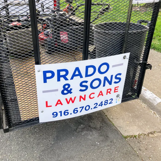 Prado & Sons Lawn Care — photo from the business 6
