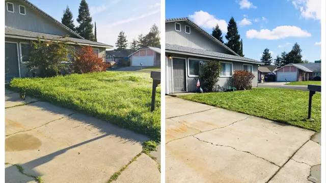 Prado & Sons Lawn Care — photo from the business 7