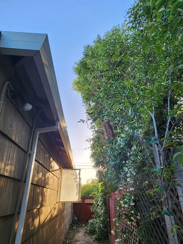 Prado & Sons Lawn Care — customer photo 5