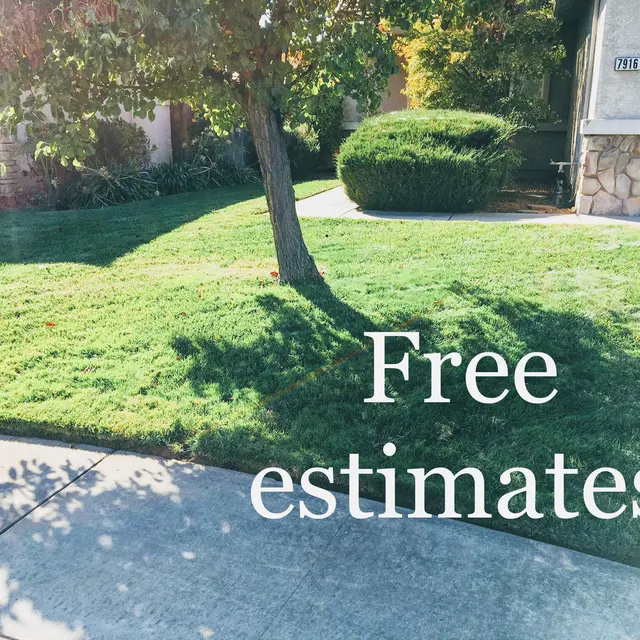 Prado & Sons Lawn Care — photo from the business 1