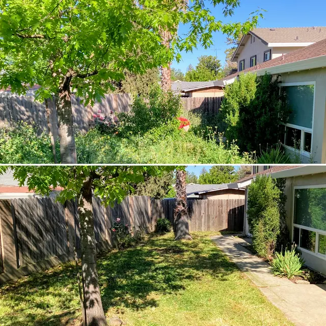 Prado & Sons Lawn Care — photo from the business 4