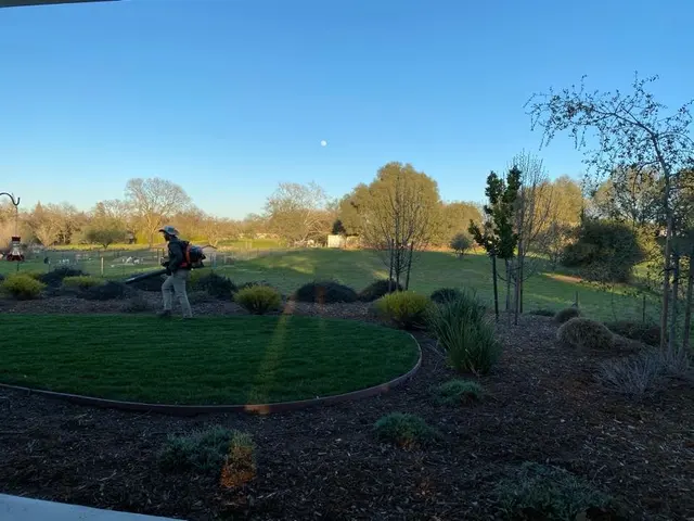 Lantscap Gardening — photo from the business 5