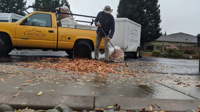 Lantscap Gardening — photo from the business 4