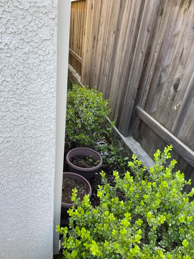 Lantscap Gardening — customer photo 8