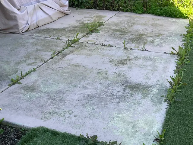 Lantscap Gardening — customer photo 11