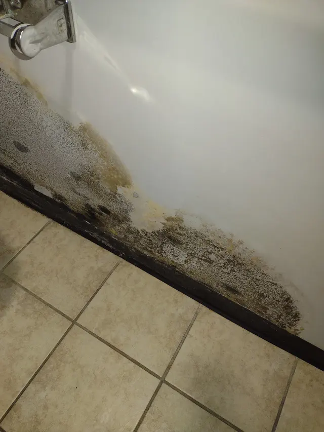 Indoor Air Quality Services — photo from the business 6