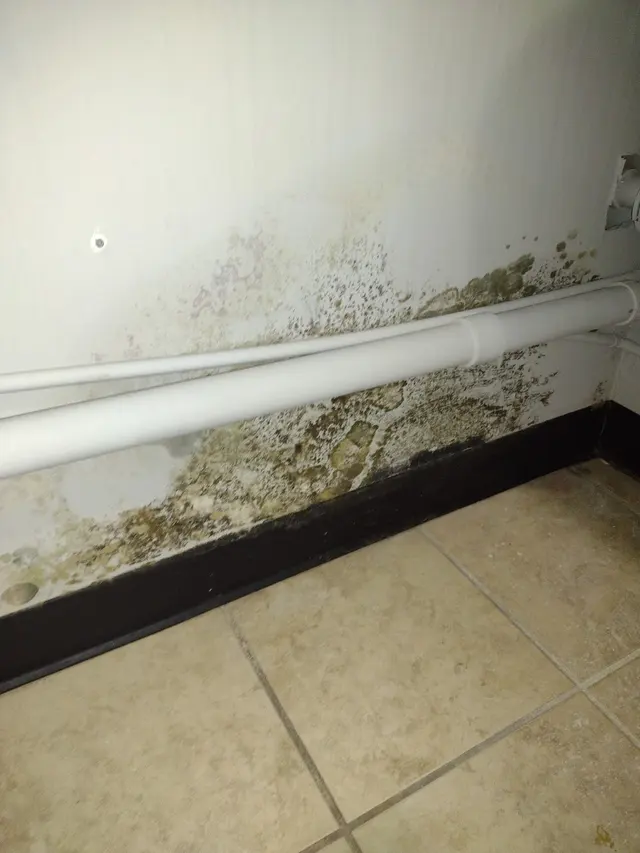 Indoor Air Quality Services — photo from the business 5