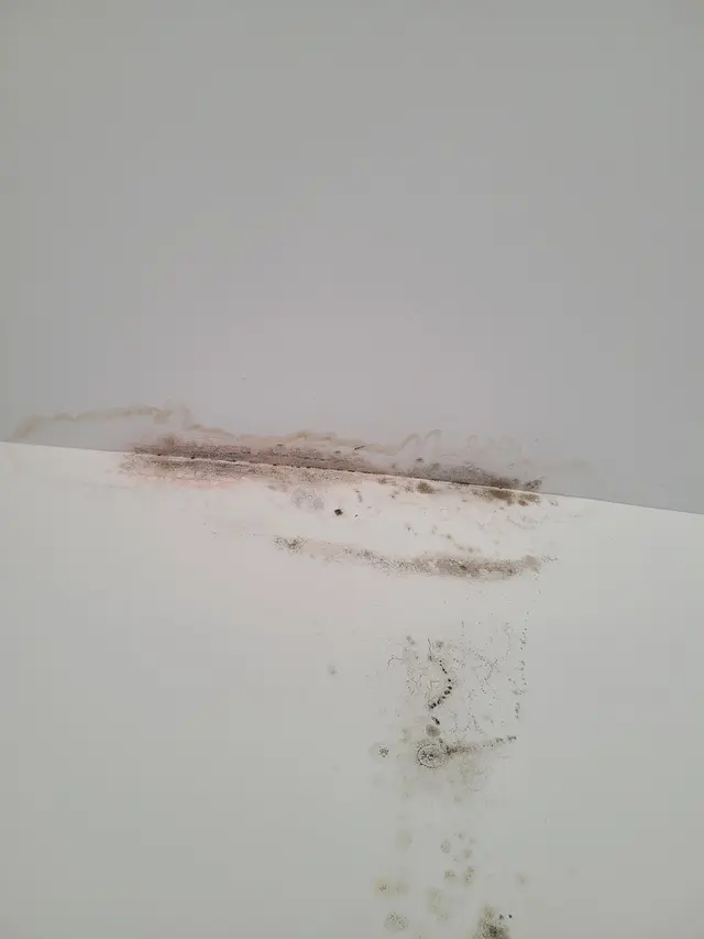 Indoor Air Quality Services — customer photo 2