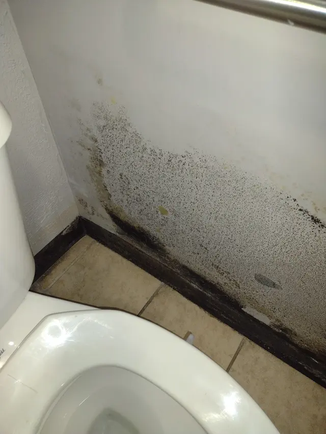 Indoor Air Quality Services — photo from the business 7