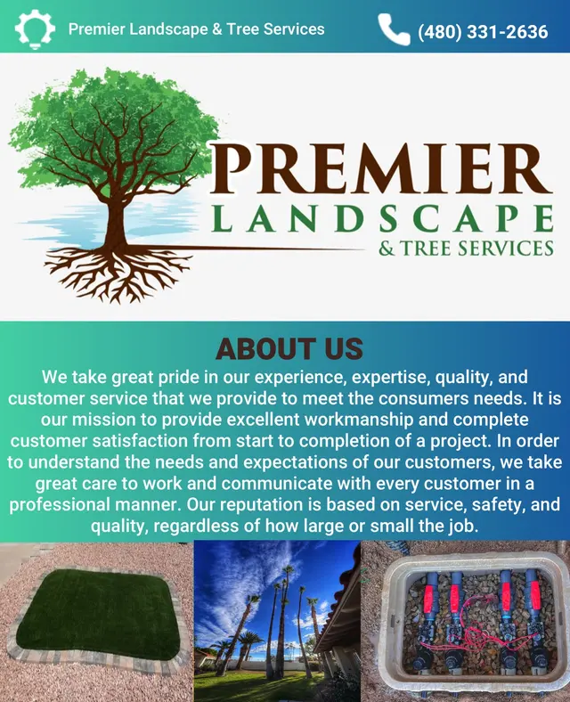 Premier Landscape & Tree Services, LLC — photo from the business 10
