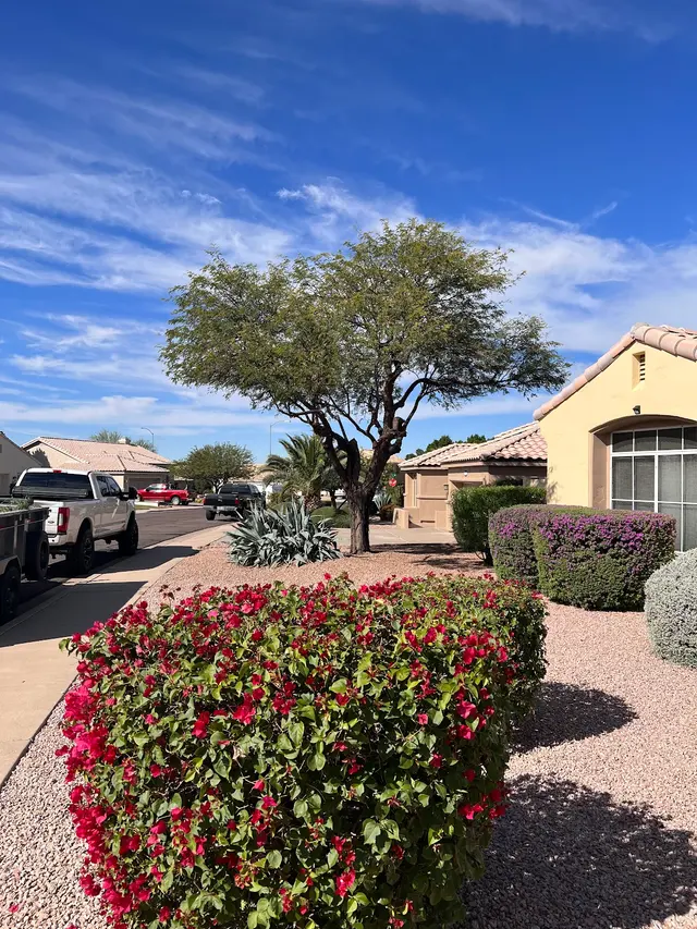 Premier Landscape & Tree Services, LLC — photo from the business 4