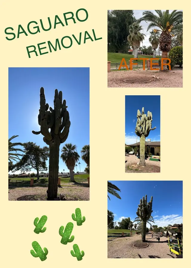 Premier Landscape & Tree Services, LLC — photo from the business 9